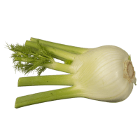 Fennel (1pk)