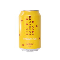 Ginger Ale Carbonated Beverage (330ml)