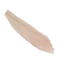NZ Hoki Fillet (Frozen) (Kg)