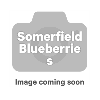Blueberries (500g)