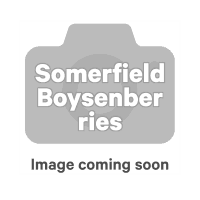 Boysenberries (500g)