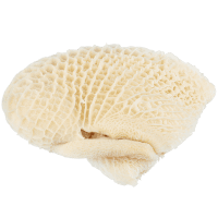 Honeycomb Tripe (kg)