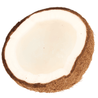 Coconut Halves (1pk)