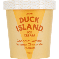 Coconut Caramel Sesame Chocolate Peanuts Ice Cream (472ml)