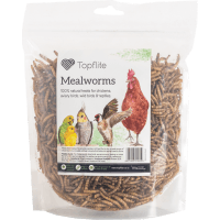 Dried Mealworms (125g)