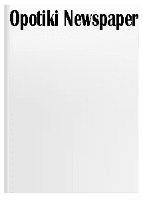 Newspaper (1ea)