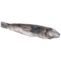 Gilled And Gutted Blue Cod (Frozen) (1kg)