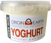 Natural Pot Set Yoghurt (500g)