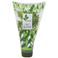 Potted Plant Basil (1pk)