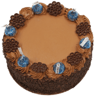 Small Chocolate Sponge Gateaux (1pk)