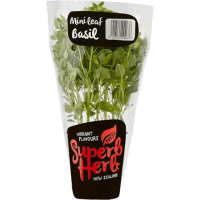 Mini Basil Leaf Sleeve (1pk)