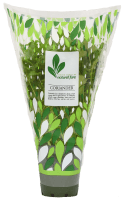 Potted Plant Coriander (1pk)