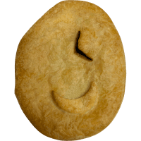 Steak & Mushroom Pie (210g)