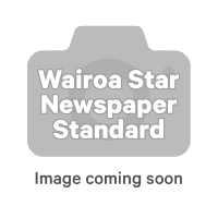 Newspaper Standard (1ea)