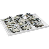 NZ Pacific Half Shell Oysters (1pk)