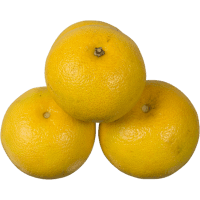 Grapefruit (kg)
