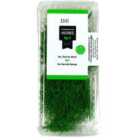Dill (10g)