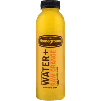 Water + Raw Orange Juice (485ml)