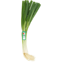 Spring Onions (1ea)