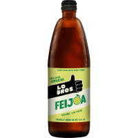 Feijoa Kombucha (750ml)