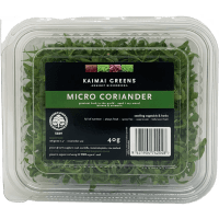 Micro Coriander (40g)