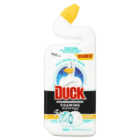 Citrus Toilet Foaming Bleach Gel (750ml)
