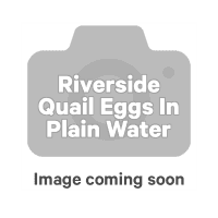 Quail Eggs In Plain Water (425g)