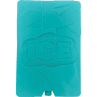 Ice Brick 800ml (2pk)