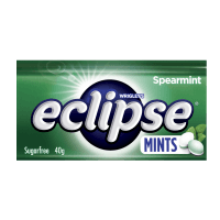 Spearmint Sugarfree Mints (40g)