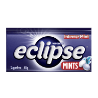 Intense Mint Sugarfree Mints (40g)