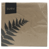Kiwi Summer Series Bio 2ply Napkins (50pk)