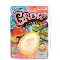 Magic Grow Dino Egg Toy (1pk)