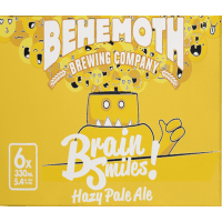 Brain Smiles! Hazy Pale Ale Cans (6 x 330ml)