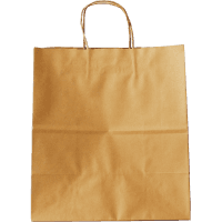 Paper Checkout Bag (1pk)
