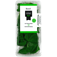 Basil (14g)