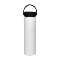 Life Flask 700ml (1ea)