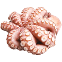 Whole Giant Ball Octopus (15kg)