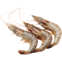 Vannamei Ecuador Prawns (2kg)