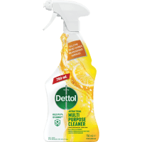 Lemon Lime Multipurpose Cleaner Antibacterial Spray (750ml)