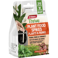 Plants & Ferns Plant Food Spikes (30pk)