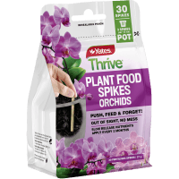 Orchid Plant Food Spikes (30pk)