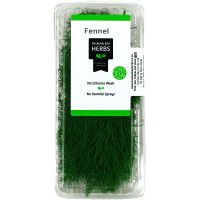 Fennel (14g)