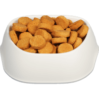 Peanut Butter Dog Treats (kg)