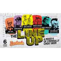 The Line Up Mixed Six Beer Cans (6 x 330ml)