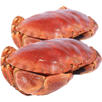 Whole Cooked Brown Crabs (10kg)