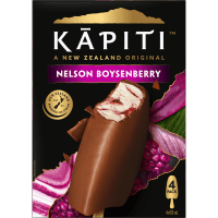 Nelson Boysenberry Ice Cream (4 x 100ml)
