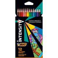 Intensity Coloured Pencils (12pk)