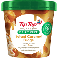 Dairy Free Salted Caramel Fudge Frozen Dessert (1.2l)