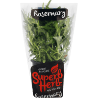 Rosemary Herb (1pk)