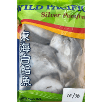 Wild Pacific Silver Pomfret (800g)